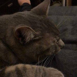 Meet your Posher, Karen